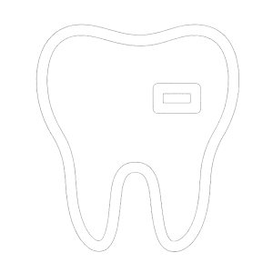 Dental Fillings